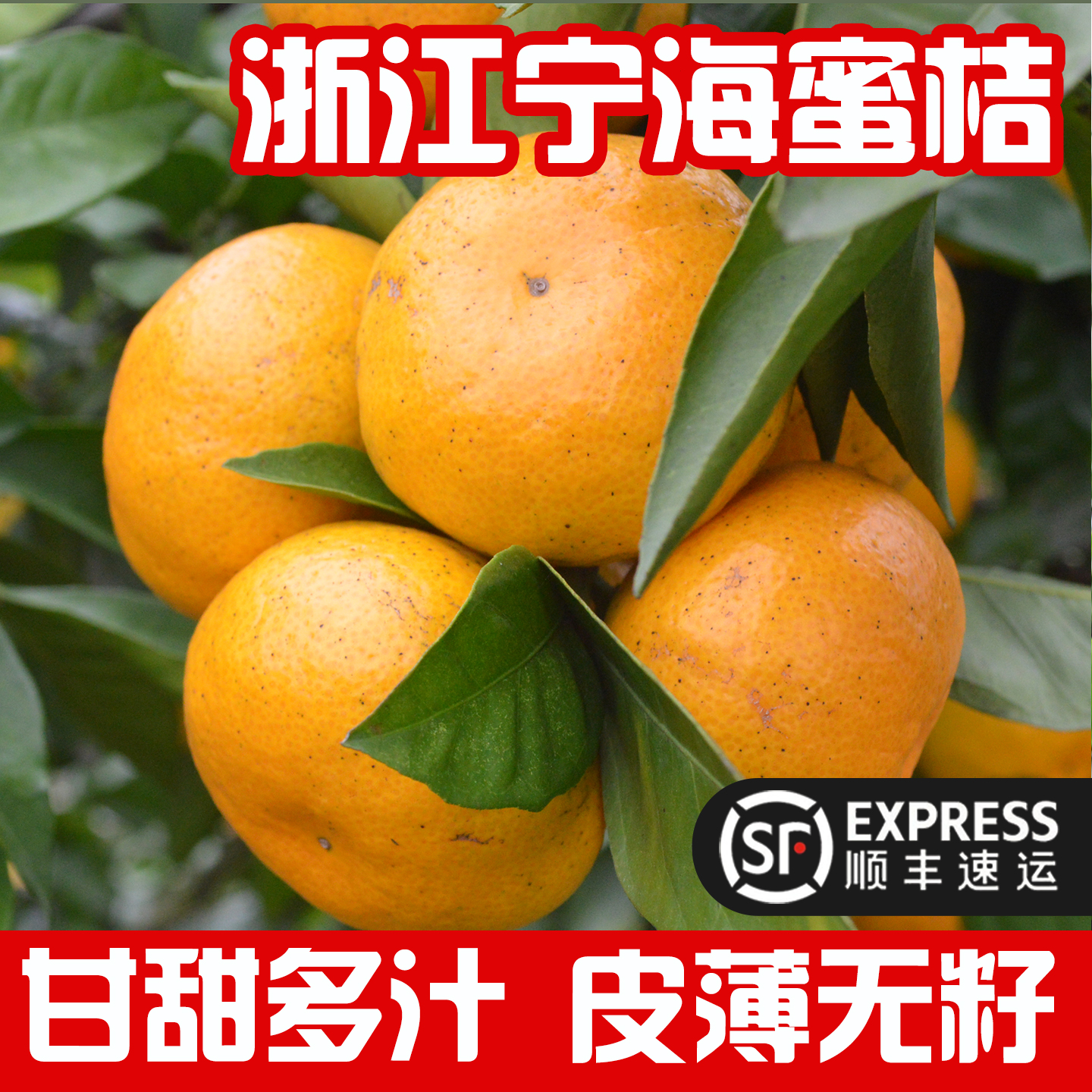 【顺丰发货】正宗浙江蜜桔9斤