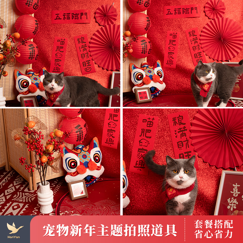 2025新年宠物拍照道具场景布置