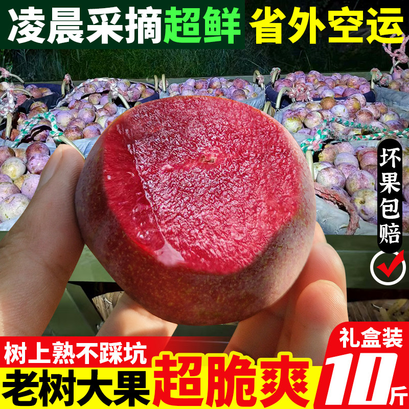 树上熟！正宗三华李芙蓉李红心李