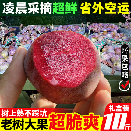 正宗三华李芙蓉李红心李新鲜脆甜大李子桃形孕妇古田特大果水果