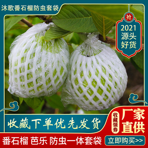 番石榴套袋芭乐防虫网专用一体