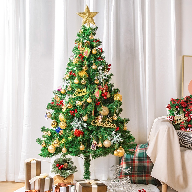 圣诞树家用套餐2023新款加密ins风LED发光圣诞节装饰品DIY仿真树