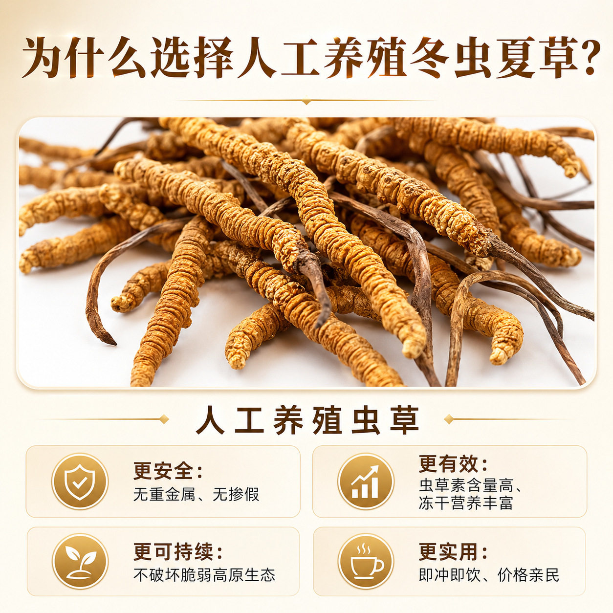 冬虫夏草干货人工培育虫草冻干冬虫夏草自己吃礼盒装团购代发送礼