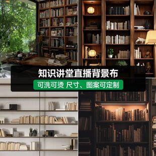 知识付费课程培训3D直播背景布直播间高级感背景墙立体壁纸主播直