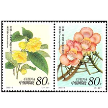 珍稀花卉 金花茶 特种邮票 2002 植物花卉 炮弹花