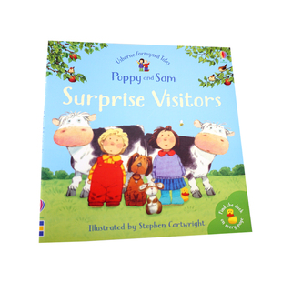 Tales 青少年课外阅读 Stories 故事 给游客带来惊喜 Surprise Visitors 英文原版 儿童英语启蒙故事书 农场 Farmyard