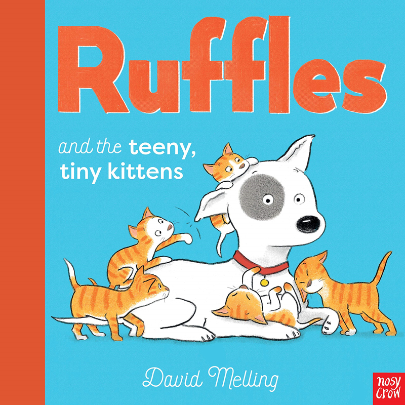 现货 进口英文原版 David Melling Ruffles and the Teeny Tiny Kittens 莱弗和小猫咪 睡前故事图画书 亲子哄睡绘本 3-5岁