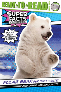 Bear 英语课外阅读 Facts Other Isn Fur Amazing And 北极熊 事实 White 皮毛不是白色 还有其他令人惊讶 Polar 英文原版