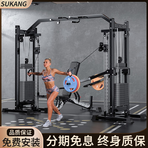 大飞鸟龙门架综合训练器健身器材