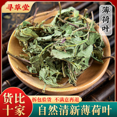 精选薄荷叶新货药用食用泡水