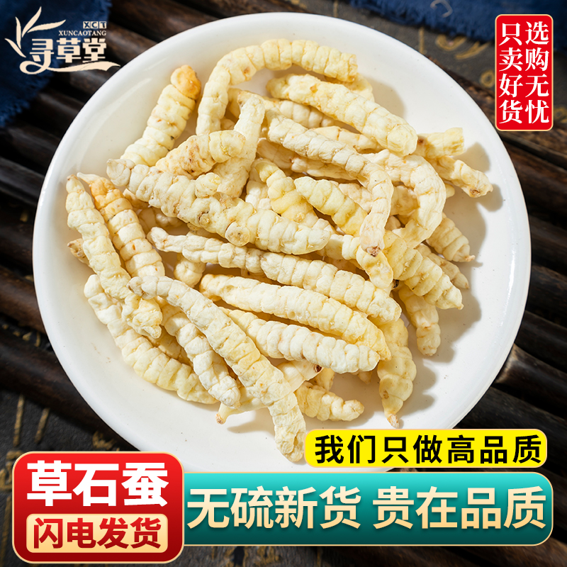 虫草参正品草石蚕中药材干土冬虫草地蚕土冬虫草白虫草泽兰根地参