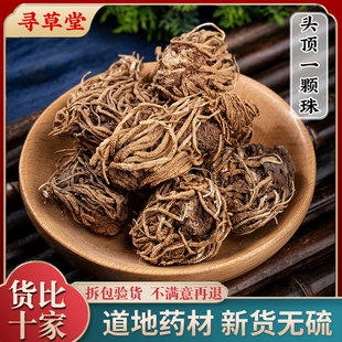 头顶一颗珠中药材 芋儿七 蛇头草 蜂斗菜 狮儿七 玉儿七 佛手七