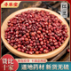 寻草堂 正宗 长粒赤小豆红豆赤豆500g可搭薏仁薏仁米芡实新货