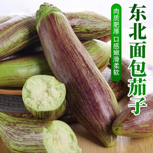 东北面包茄子新鲜现摘现发花茄子冰川长茄子