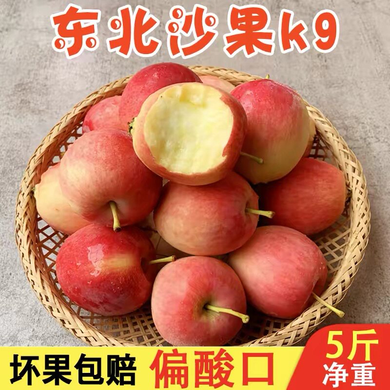 正宗东北k9沙果苹果新鲜水果当季现摘现发酸甜孕妇小苹果