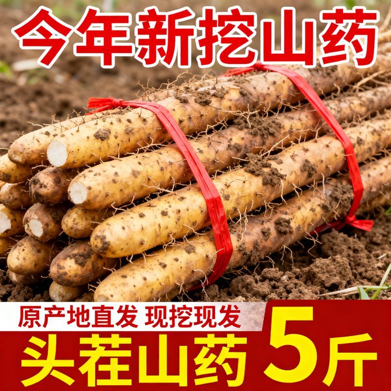 正宗新鲜铁棍山药小白嘴山药淮山药铁杆山药多规格可选直发辅食