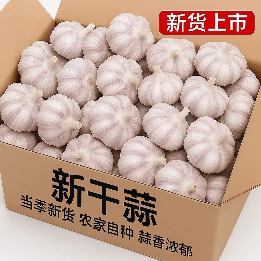 今年新干蒜5斤山东紫白皮干蒜大蒜头200g起产地直发新鲜大蒜金乡
