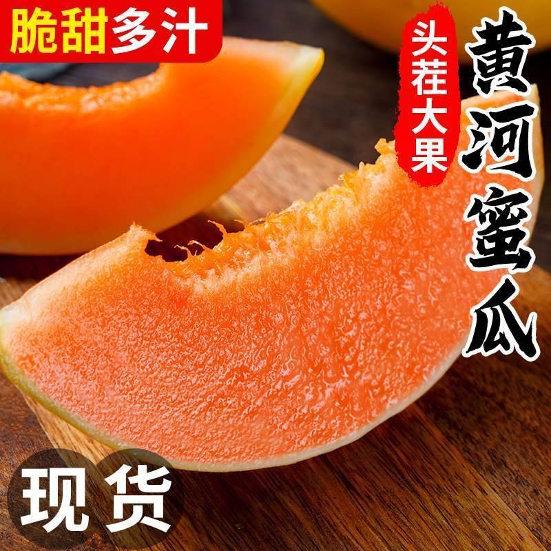 陕西黄河蜜甜瓜5斤新鲜水果沙漠红金宝甜香瓜当季哈密瓜3整箱包邮