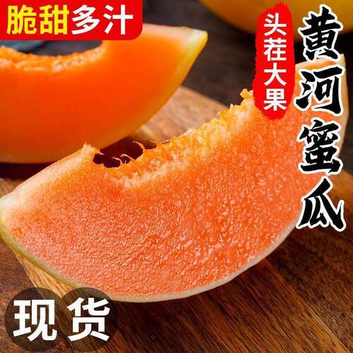 陕西甜瓜黄河蜜瓜领取下单