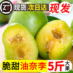 福建脱骨奈李5斤新鲜水果现摘现发农家孕妇油奈永州桃形李子青奈3