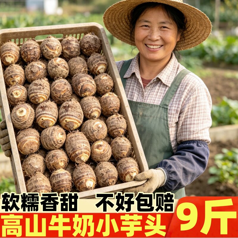 正宗云南高山现挖毛芋头牛奶小芋头小奶芋艿香糯产地直发新鲜软糯