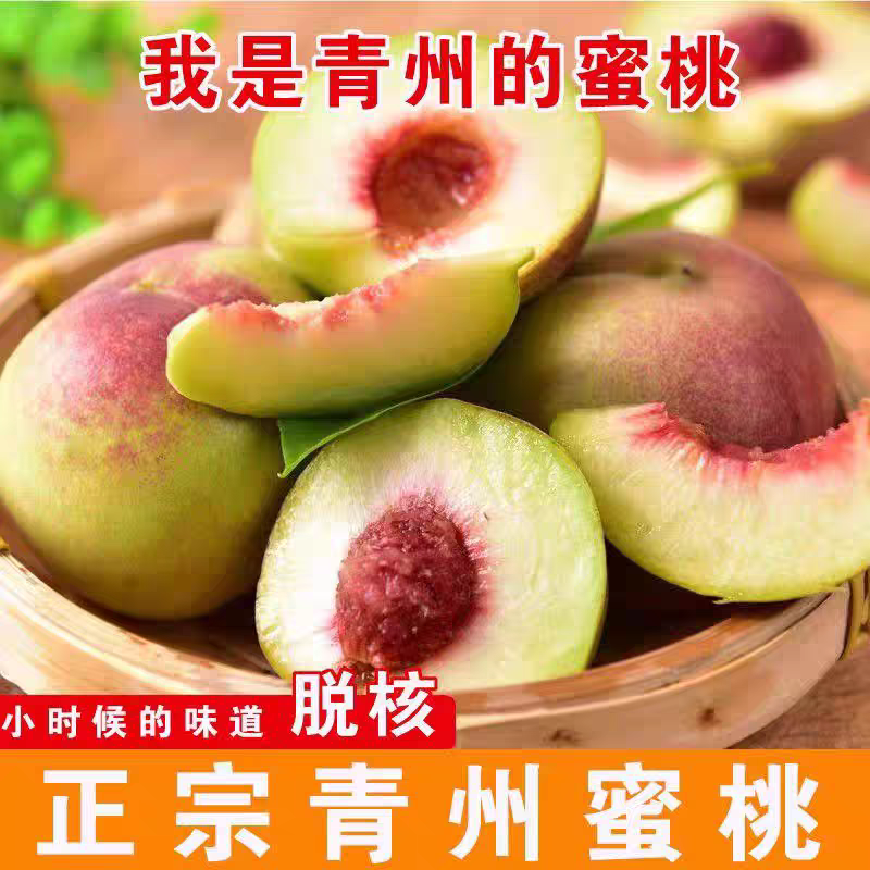 正宗青州蜜桃脱骨桃青皮桃子5斤青脆甜桃当季新鲜水果现摘秋冬桃3