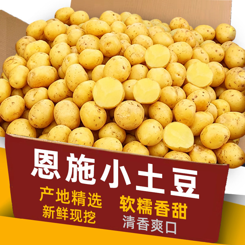 恩施小土豆10斤包邮农家正宗新鲜洋芋迷你黄心湖北马铃薯蔬菜整箱