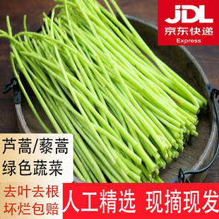 当季 新鲜篱蒿3斤去根去叶黎蒿新鲜蔬菜野菜藜蒿鲜嫩泥蒿茼蒿 芦蒿