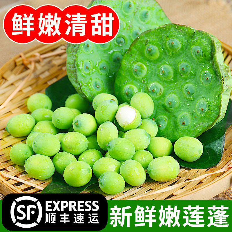 新鲜现摘莲蓬当季孕妇水果