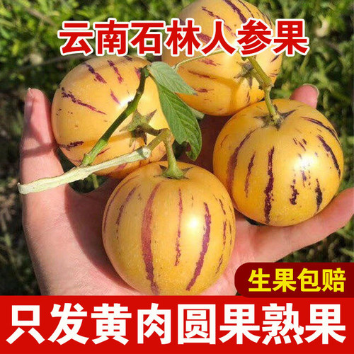 新鲜水果人参果领券爽口多汁特级