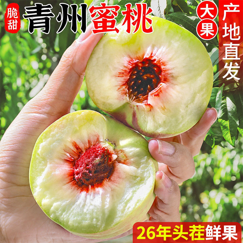 青州蜜桃脆甜桃子新鲜冬雪蜜桃水果青毛桃水蜜桃山东毛桃秋桃冬桃