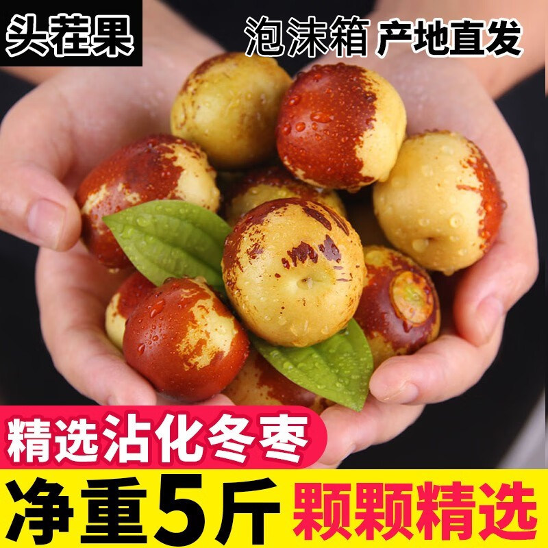 鲜蔡家山东沾化冬枣领券