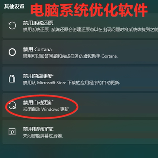 win10/win11电脑系统优化软件关闭自动更新卸载应用禁用Defender