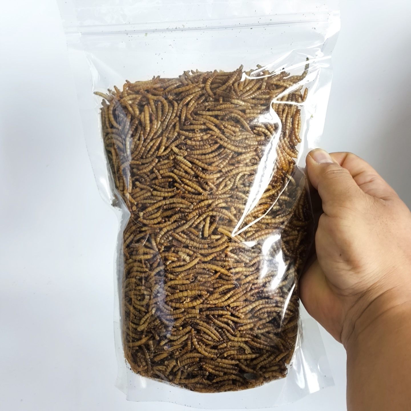 面包虫干黄粉虫粉龟鳖仓鼠零食