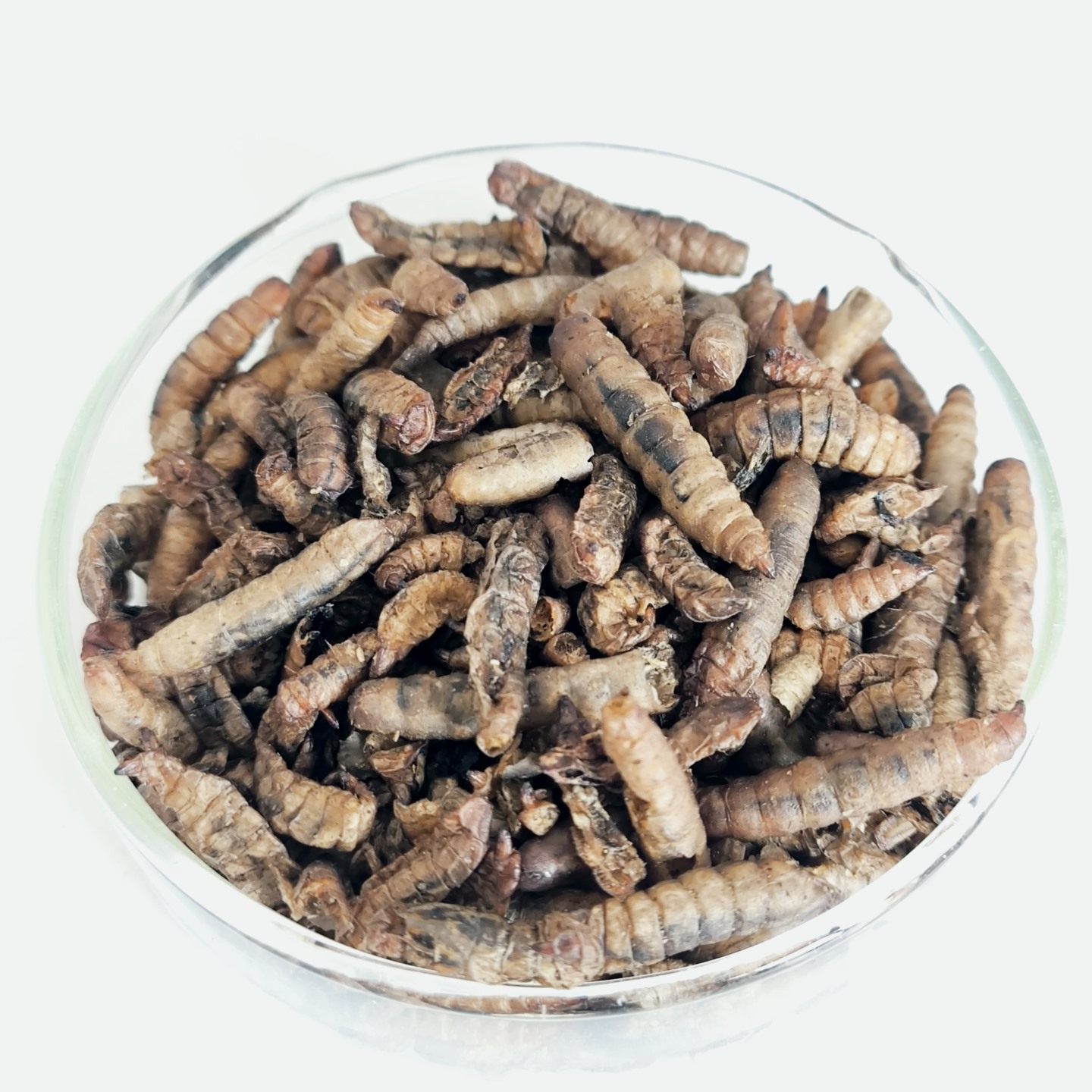 特价黑水虻干虫微波烘干低温膨化龟粮鸟食蜥蜴守宫零食蛇爬宠异宠