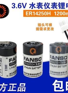 FANSO孚安特ER14250H3.6V1/2AA仪表锂电池ER14250KTSLS14250