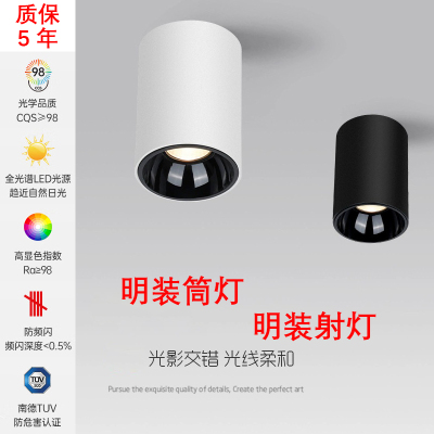 全光谱护眼低蓝光明装筒射灯