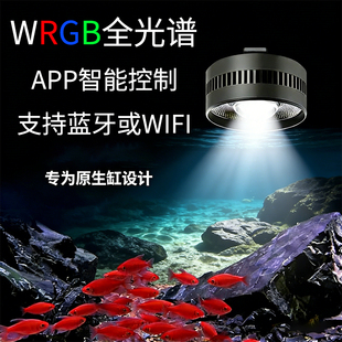 全光谱WRGB手机智能控制鱼缸增艳水族灯爆藻水草植物生长鱼缸灯
