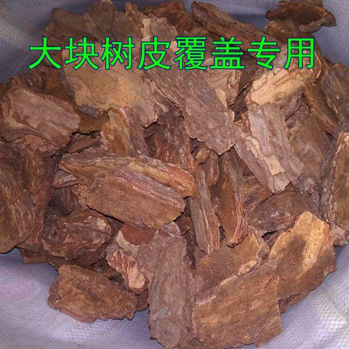发酵松树皮大块松鳞基质树池园林覆盖地表装饰绿化专用。