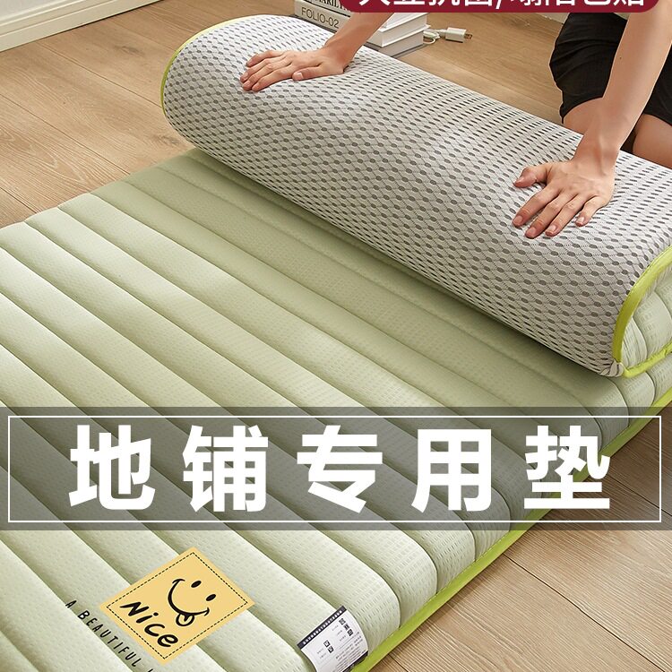 床垫软垫地铺睡垫家用可折叠防潮地垫打地铺单双人租房垫
