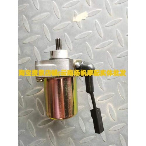 轻骑铃木赛驰赛胜QS110-A-C-2启动马达FD110启动电机原装
