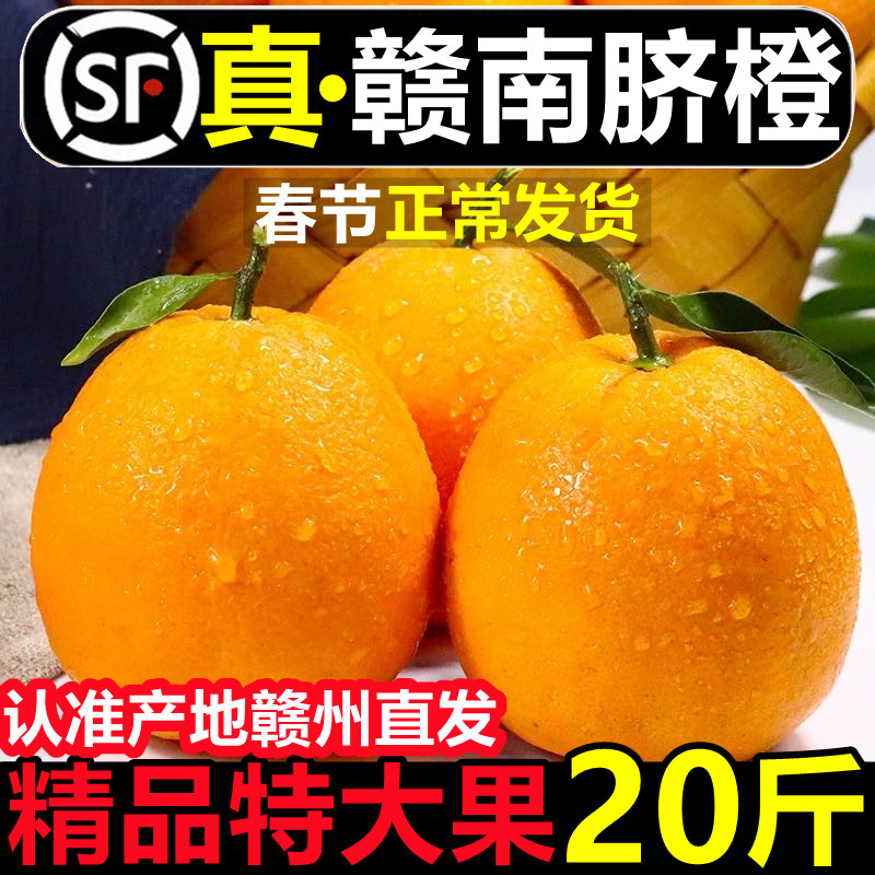 正宗江西赣州赣南脐橙应当季新鲜手剥甜橙子孕妇水果现摘现发包邮