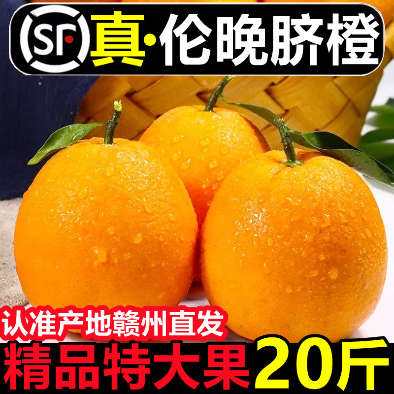 正宗江西赣南伦晚脐橙应当季新鲜手剥甜橙子孕妇水果赣州现发包邮