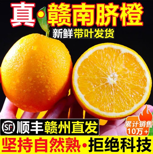 累计销售10W+！正宗江西赣南脐橙