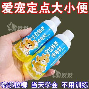 狗狗厕所定位诱导剂泰迪比熊定点排便尿垫不乱拉乱尿狗狗用品便携
