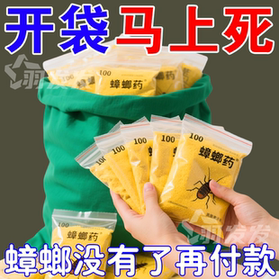 强效蟑螂药出租屋家用宠物孕妇婴儿无毒一窝端厨房蟑螂克星杀虫剂