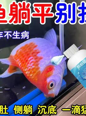 鱼康宝消毒液，专治鱼病救鱼身