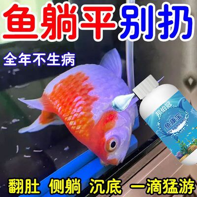 鱼康宝消毒液，专治鱼病救鱼身