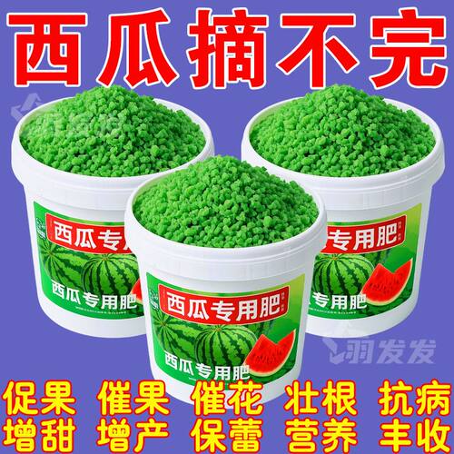 西瓜专用缓释有机肥增甜膨果