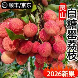 新鲜荔枝白糖罂灵山水果当季整箱妃子5笑桂1味白糖糯米广西特产